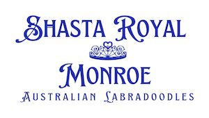 Members - Shasta Royal Monroe - Northern Business Associates